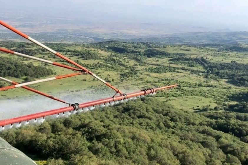 Բյուրականի անտառապետության տարածքում 25 օր կարգելվի մարդկանց և կենդանիների մուտքը
